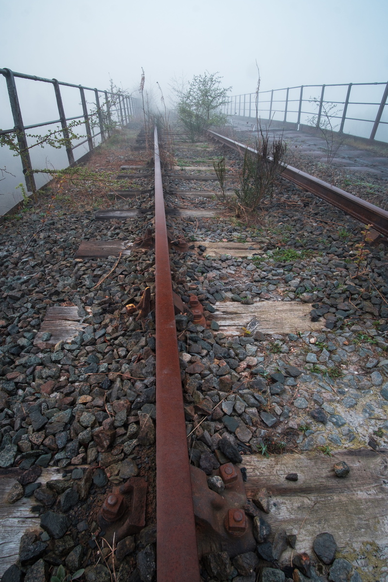 plant, leading lines, tree, 5K, architecture, abandoned, railway bridge, railing, footbridge, gravel, tranquility, bridge, metal, landscape, direction