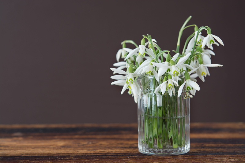 studio shot, wooden, flowers, still life, fragility, healthy eating, flower, cut, brown, flower head, snowdrop, crystal, wood - material, vase, beauty in nature