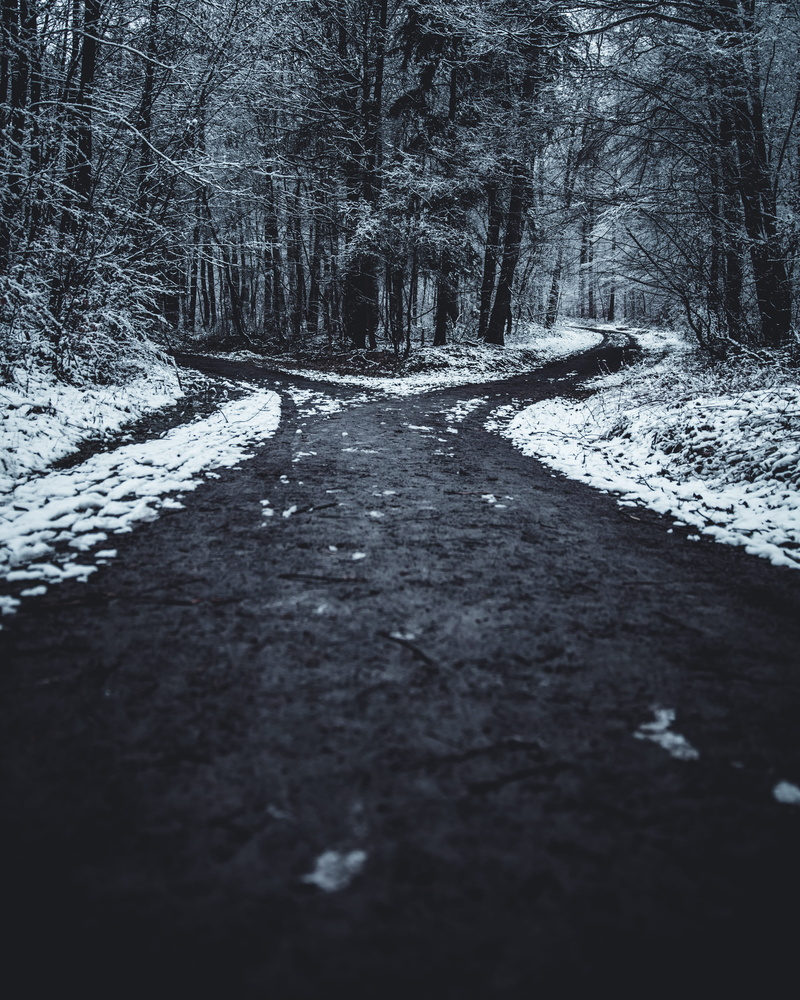 tranquil scene, beauty in nature, nature, landscape, diminishing perspective, the way forward, day, no people, tranquility, surrounded, splitted, snow
