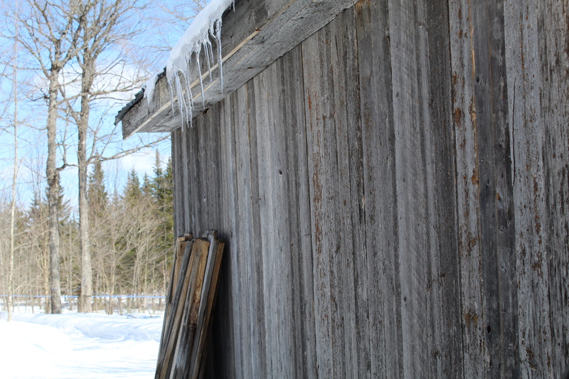 bark, winter, fort, the sap, land, wood - material, house, spring, architecture, organic sugar, no people, sweeten, bare tree, day, boiler, hut sugar, shed
