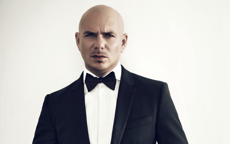 pitbull, cantante, americano, 4K