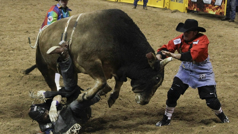 rodeo, 720P, fiesta, americana, americano