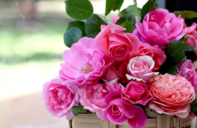 roses, nature, buds, summer, garden, flower arrangement, flowers, outdoors, flower, vulnerability, arrangement, inflorescence, wood - Material, 1080P