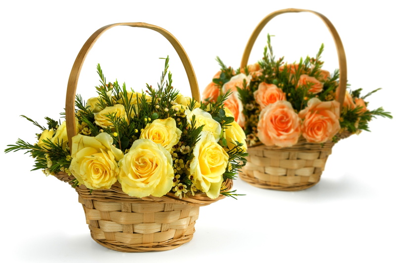 rose, container, leaf, flower Head, basket, green Color, indoors, studio shot, blossom, multi Colored, wedding, red, romance, white, beauty in nature, springtime