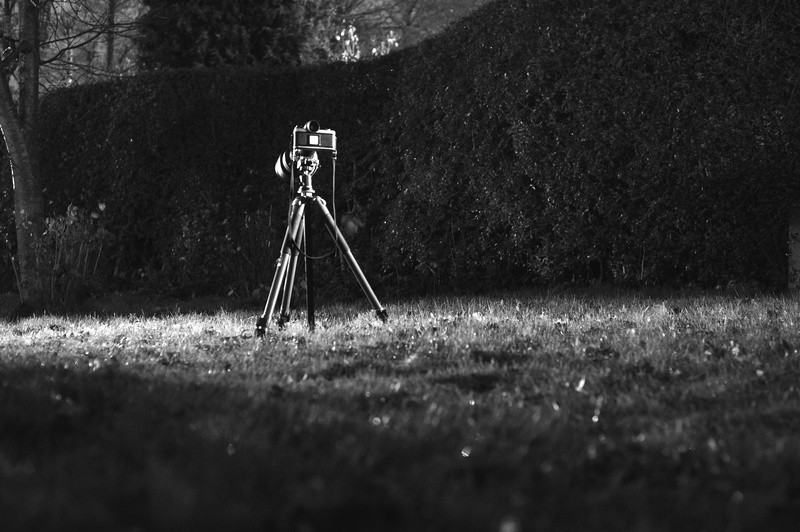 selective focus, grass, photography themes, digital camera, tripod, film, day, grass area, field, landscape, no people, outdoors, limelight, analog photography