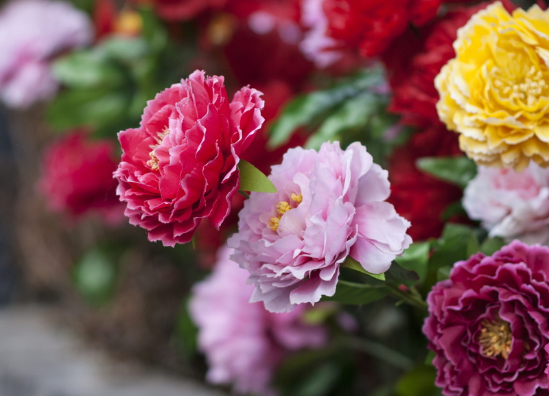 beauty in nature, bunch of flowers, paper flowers, bouquet, selective focus, fragility, freshness, flowering plant, flower, vulnerability, petal, flower head