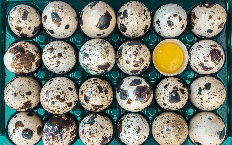 celebration, side by side, large group of objects, still life, food and drink, in a row, order, animal egg, 1080P, temptation, eggs, food, arrangement