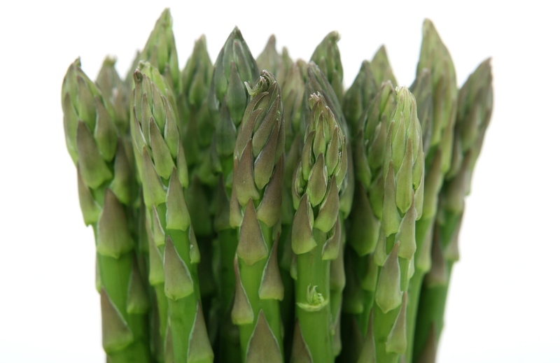 indoors, studio shot, weight, catering, fitness, green, bundle, tied up, produce, food and drink, nourishing, plant, stalk, raw food, asparagus, appetite