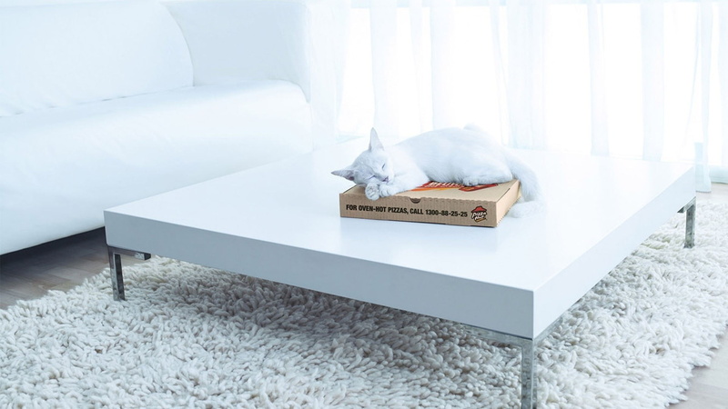 home interior, home showcase interior, modern, sofa, indoors, 1080P, home, bedroom, architecture, cat, simplicity, white color, bed, no people, domestic room