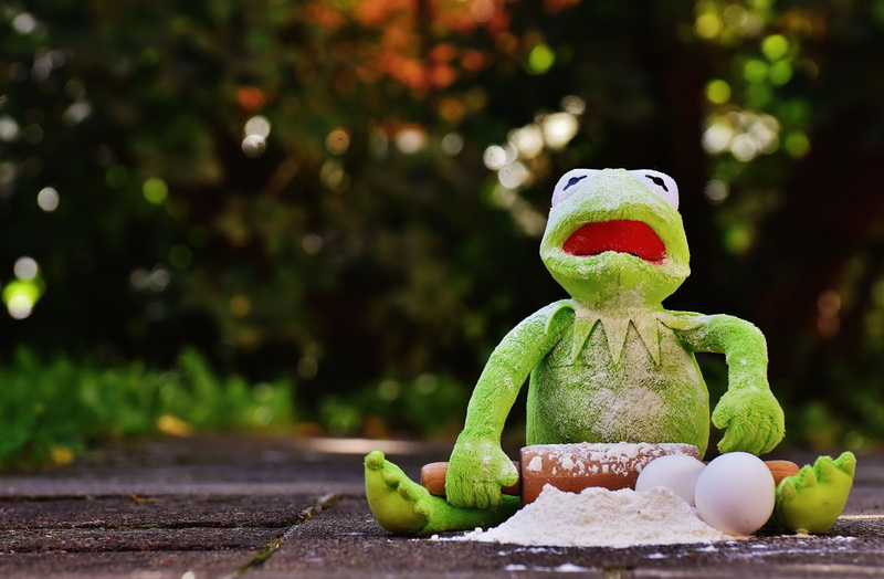 kermit, representation, ingredients, food and drink, celebration, frog, rolling pin, egg, roll out, human representation, bake, nature, green color, funny