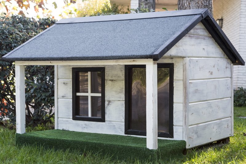 building exterior, kennels for pets, roof, glass - material, day, window, house for dogs, outdoors, built structure, entrance, building, dog houses, house