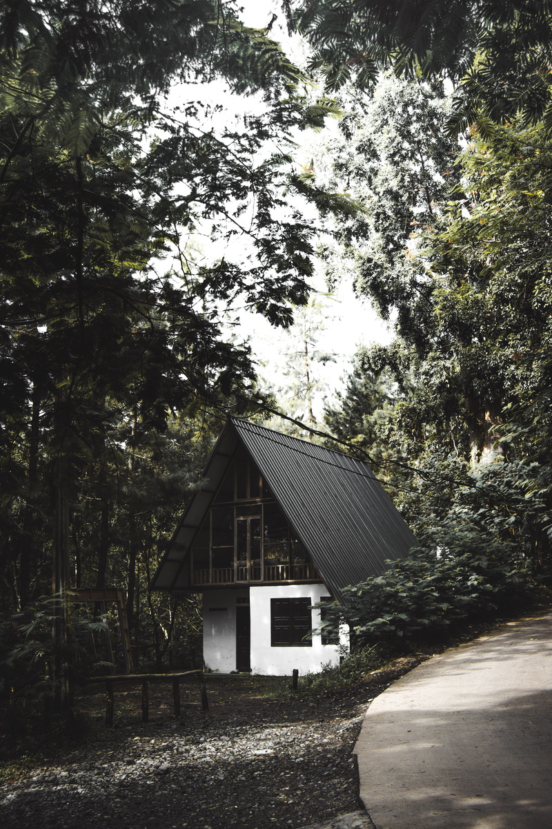 kennel, plant, folk, architecture, roof, arbour, wooden, garden, house, nature, home stay, slate, building, sunlight, 5K, sky, moddy, rural, no people