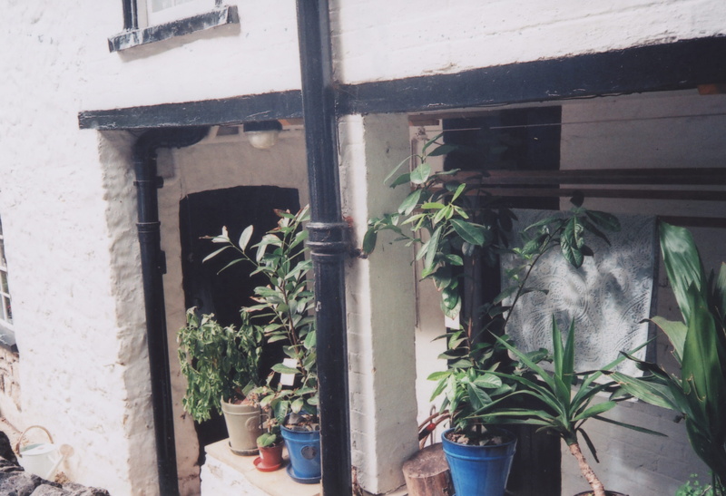 door, window, no people, cheddar gorge, beauty in nature, 35mm camera, house, green color, outdoors, transparent, built structure, leaf, white, nature