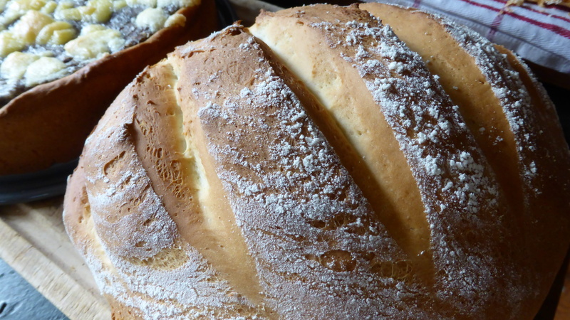 bake your own, baked goods, close-up, breakfast, 4K, food and drink, store, healthy eating, loaf of bread, french food, kitchen, bread, yeast bread, eat