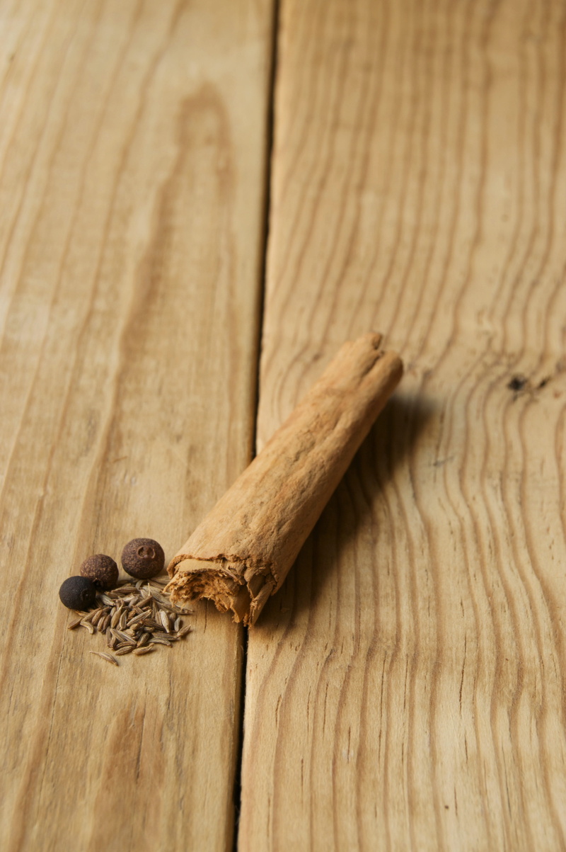 one animal, animals in the wild, tree, animal wildlife, animal themes, invertebrate, indoors, animal, close-up, spices, cinnamon stick, wood, wellbeing
