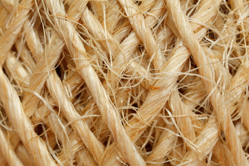 yellow, hemp, day, straw, string, natural, sisal, pattern, textured, knot, seed, farm, thread, texture, dry, detail, food and drink, cereal plant, cord