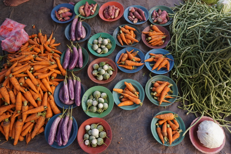 multi colored, variation, choice, eggplant, fresh, harvest, Aubergine, abundance, healthy eating, 5K, habarana, Vegetables, no people, food, freshness