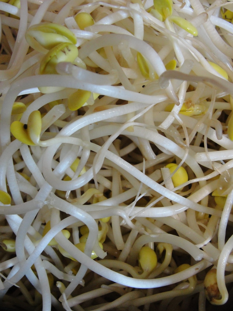 healthy, vegetable, grated, indoors, approach, soy, food, full frame, freshness, culinary art, vegan, italian food, chopped, wellbeing, shredded, spaghetti