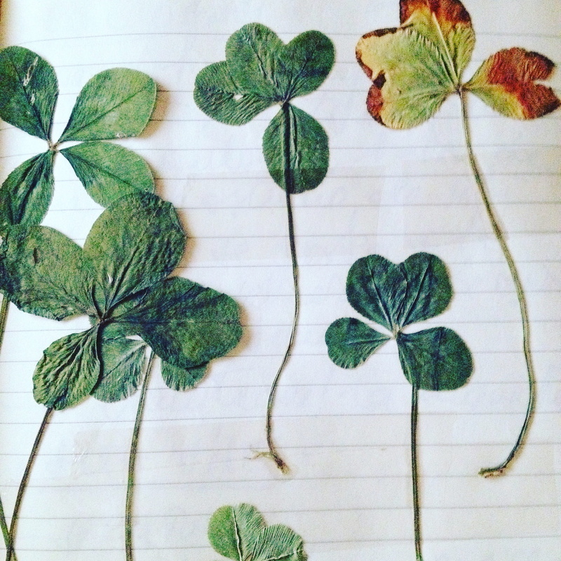 green, leaves, art and craft, pattern, flooring, plants, goodluck, leaf, directly above, no people, herb, plant part, potted plant, high angle view, luck