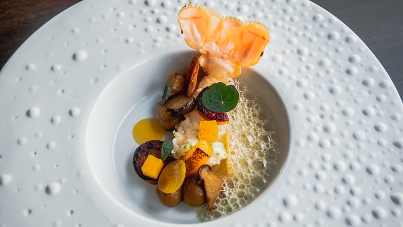 Langostine, serving size, Cuisine, ready-to-eat, temptation, directly above, freshness, food and drink, dessert, art, still life, Creams, Seafood, cream