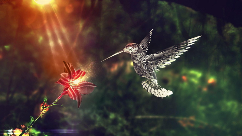 1920x1080, black, digital art, floral, bird, robot, approaching, hummingbird, gray, flower, 1080P