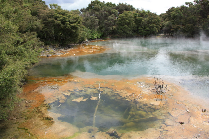 environment, heat - temperature, plant, lake, volcanic, tranquility, day, scenics - nature, vapor, water, non-urban scene, outdoors, 4K, reflection, forest