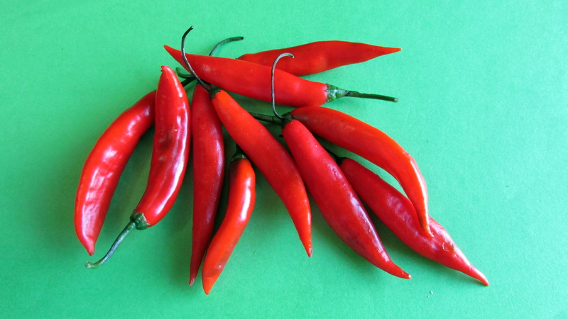 food, nature, close-up, freshness, colored background, food and drink, healthy, indoors, red, chili pepper, spice, ripe, burn, vegetable, wellbeing, group of objects