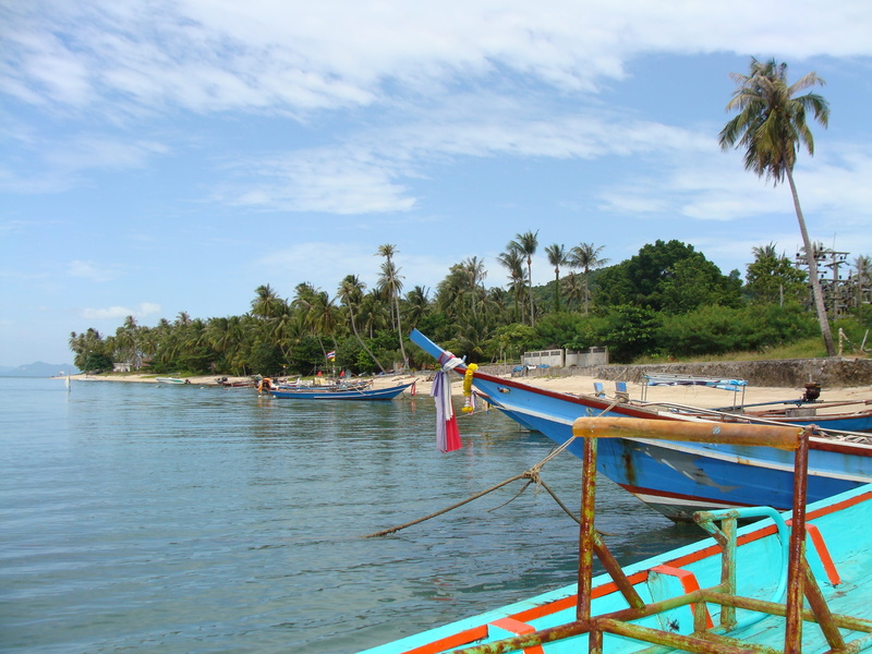 Island, waterfront, no people, tree, sky, sea, Thailand, plant, Samui, fishing boat, nature, outrigger, palm trees, tranquility, transportation, moored