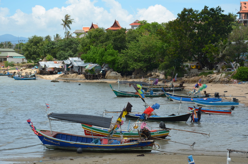 boats, architecture, tree, 4K, incidental people, plant, mode of transportation, transportation, building exterior, men, outdoors, sea, koh samui, day