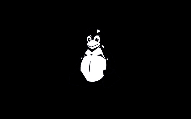 creativity, illuminated, darkroom, representation, copy space, dark, linux tux, figurine, night, domestic animals, black background, mammal, lighting equipment