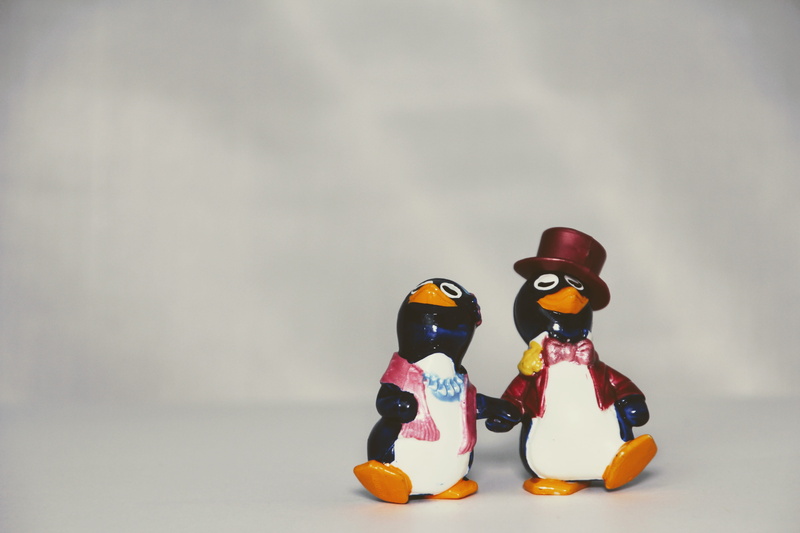 still life, no people, collection, art and craft, party, flirt, indoors, peppy pingu, pair, cut out, toys, human representation, pingu, mammal, copy space