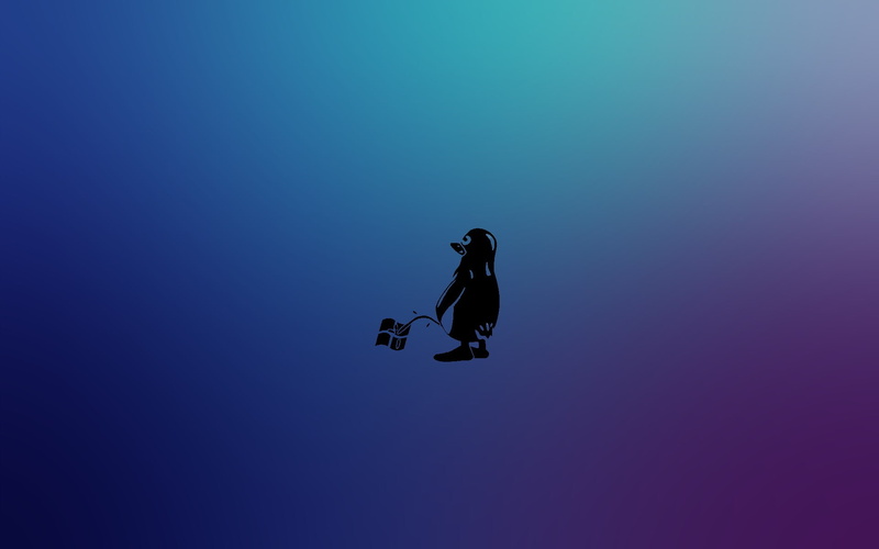 Linux, 1080P, windows 8, microsoft, Tux