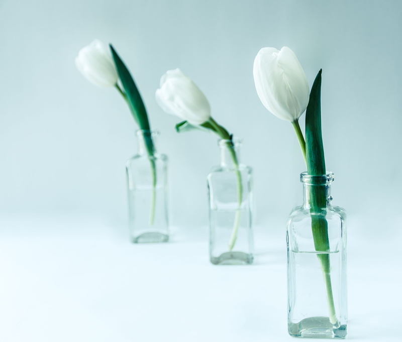 flowering plant, studio shot, lighting, bottles, no people, white tulip, flower head, freshness, transparent, flower, vase, spring, nature, plant, beauty in nature