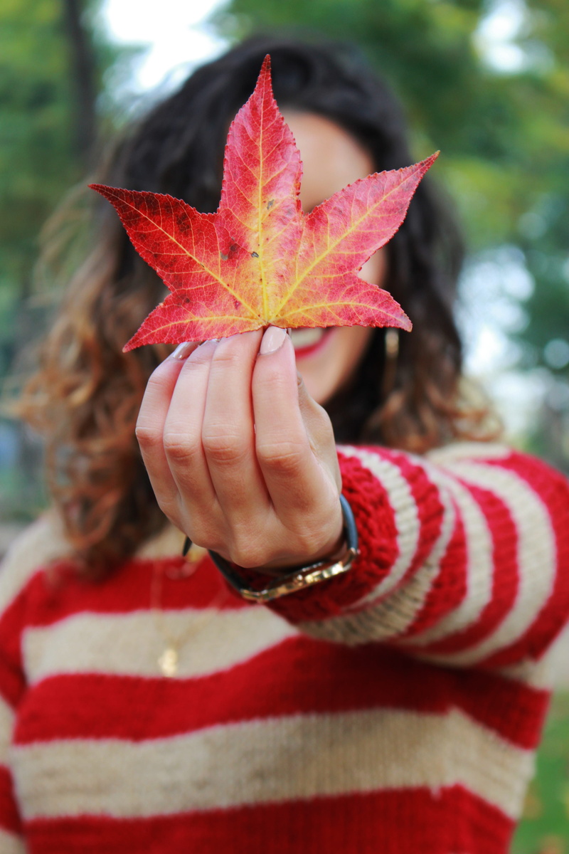 animal, 5K, hand, fowl, tree, change, focus on foreground, leaf, day, flora, aquilegia, oak, lifestyles, covering, leaves, leisure activity, close-up
