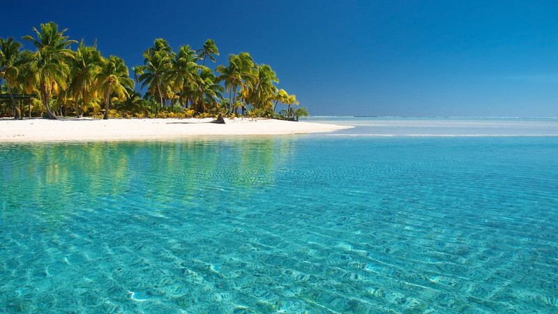 tropical tree, land, horizon over water, tranquility, beauty in nature, plant, tropical climate, water, beach, tranquil scene, green, palm trees, scenics - nature