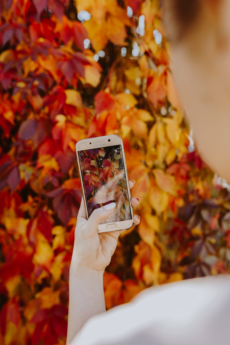 phone, picture, instagrammer, smatphone, mobile, leisure activity, personal perspective, mobile photography, instagram, photography themes, hand, wireless technology
