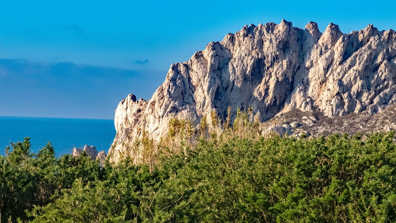 plant, Calanque, cliff, mountain peak, water, pine tree, tranquility, tree, coniferous tree, rock - object, Mer, scenics, outdoors, sea, nature, tranquil scene