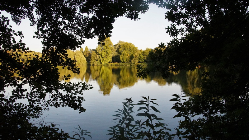 germany, nature, beauty in nature, plant, 5K, tree, reflection, sky, waterfront, gladbeck, green color, growth, non-urban scene, reflection lake, outdoors