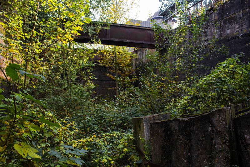 grass, built structure, architecture, green color, stone, land, plant, abstract, landschaftspark duisburg-nord, metal, hide, growth, day, abandoned, green
