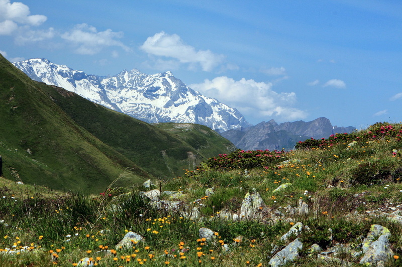 day, land, tranquil scene, 1080P, travel, tranquility, mountain, mountains, outdoors, clouds, mountain peak, non-urban scene, grass, flower, stones, plant