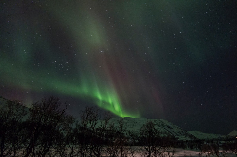 aurora, nature, artic, landscape, borealis, 1080P, alaska, sky, lights, outdoors, northern, boreale