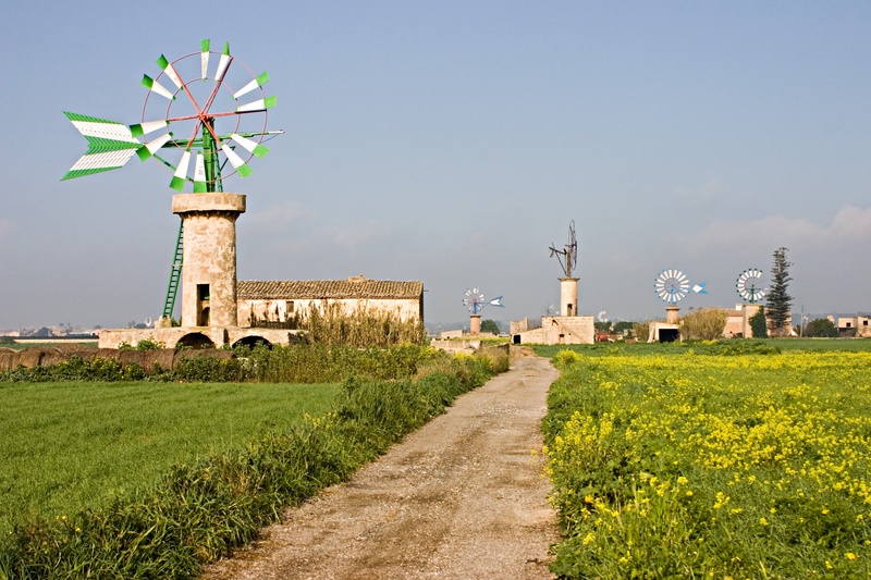 travel destinations, the past, mill, plant, grass, windmill, alternative energy, green, white, renewable energy, daytime, balearic islands, wind, wind power