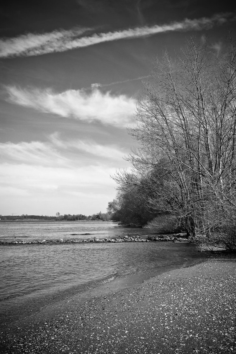 landscape, nature, field, non-urban scene, spring, no People, holiday, trees, outdoors, day, pebble, black And White, tree, clouds, plant, mood, scenic