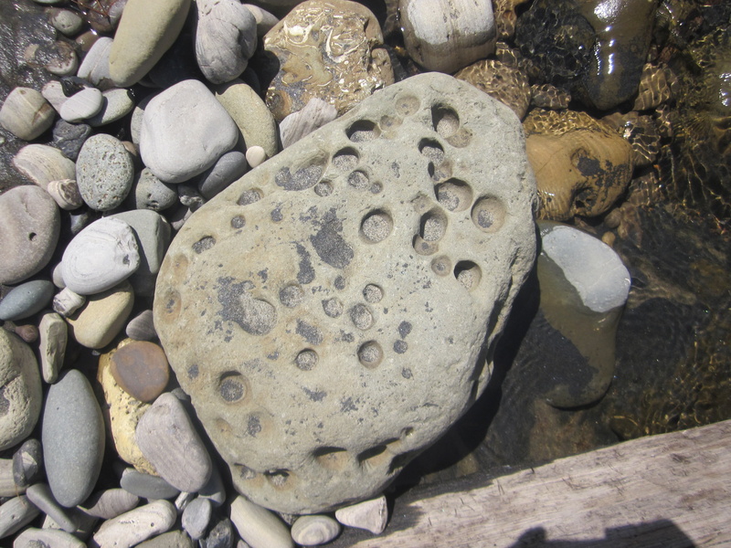 rock - Object, beach, stone - Object, land, northern california, day, water, ocean, high angle view, no people, 4K, beauty in nature, marine, pebble, outdoors