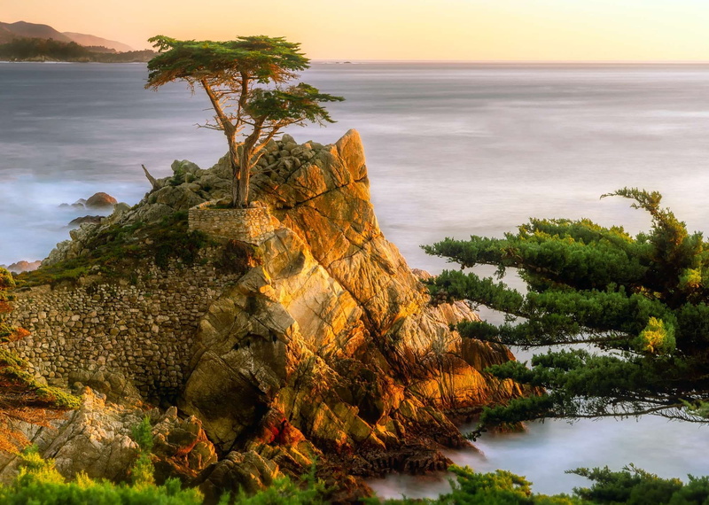 rock - object, nature, alone, growth, 1080P, non-urban scene, beautiful, sunset, scenics - nature, beauty in nature, hdr, water, plant, pacific, land