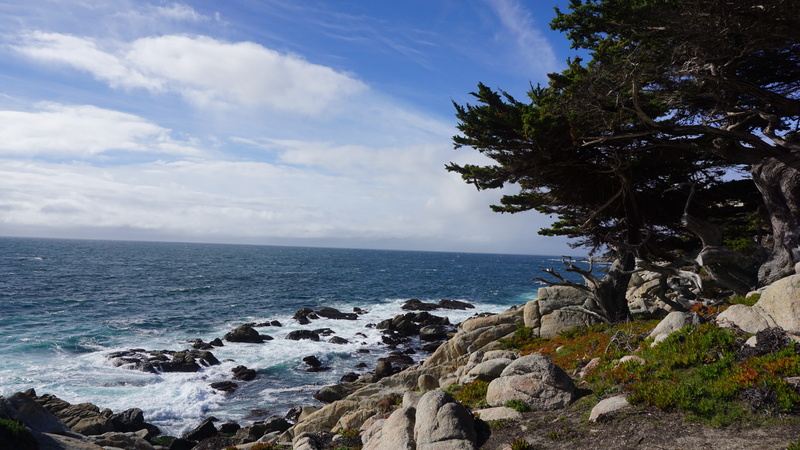 rocky coastline, cloud - sky, 5K, rocks, outdoors, california, pacific, rock - object, water, scenics - nature, no people, pebble beach, sky, land, tranquility