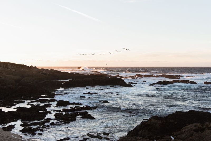 tranquility, cave, coast, shore, tower, beauty in nature, land, horizon, cove, tranquil scene, idyllic, bird, architecture, nature, outdoors, building