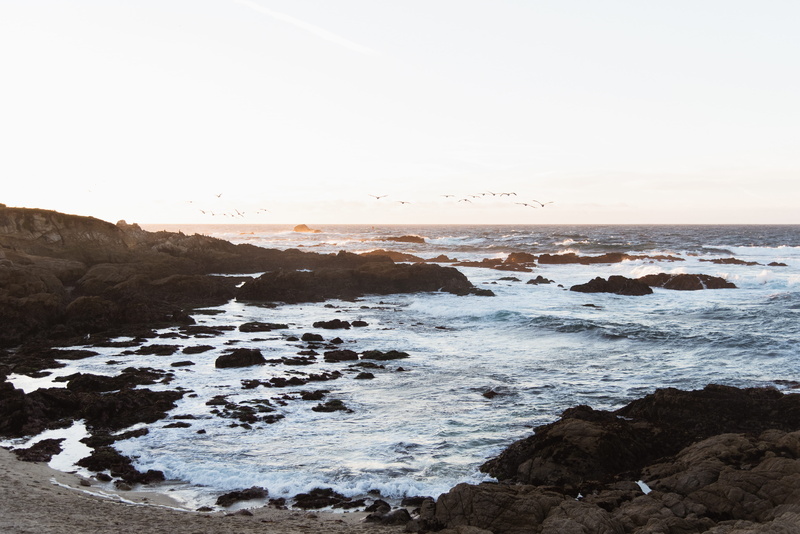 shoreline, breaking, california, rock - object, hitting, bird, power in nature, seashore, rock, sea, motion, promontory, rocks, tranquil scene, outdoors