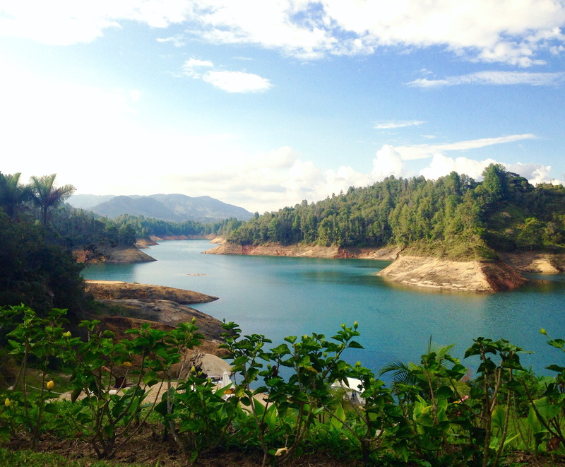 summer, idyllic, land, tranquil scene, outdoors, lake, day, no people, forest, beauty in nature, guatapé, mountain, 2K, turquoise colored, cloud - sky