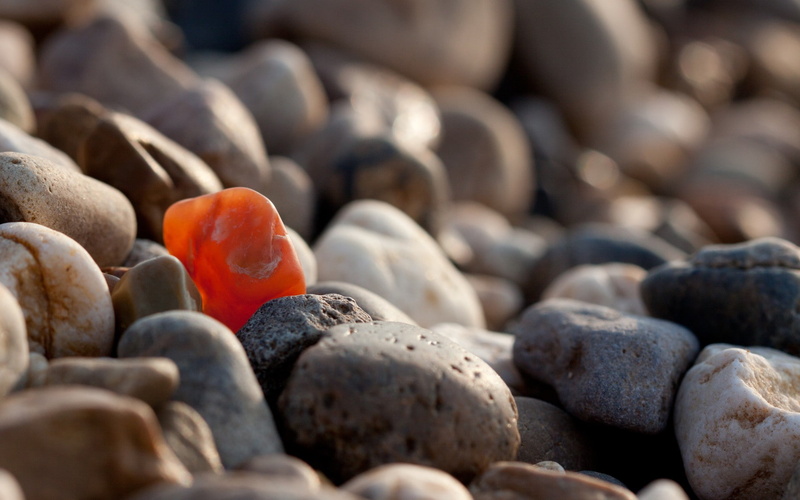 macro, 1080P, nature, depth of field, pebbles, stones
